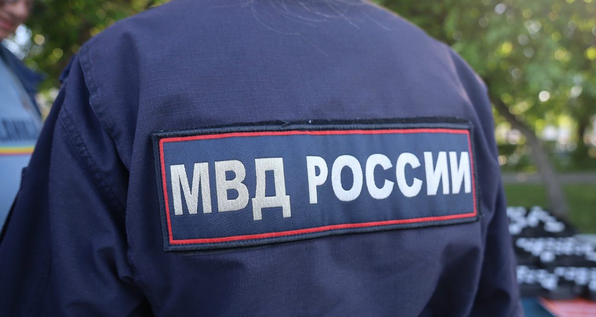 Медведь напал на пенсионерку возле СНТ, полицейский обезвредил хищника
