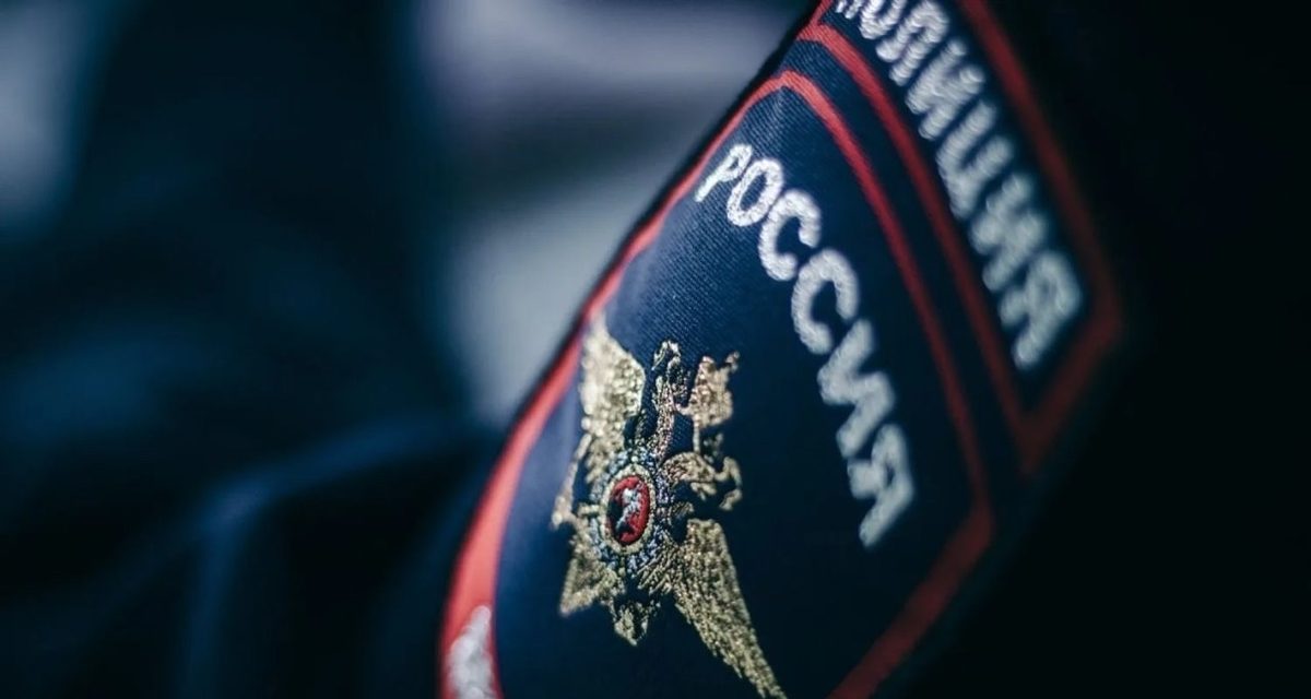 Полиция Кузбасса опровергла информацию о нападении медведя на собаку в Новокузнецком округе