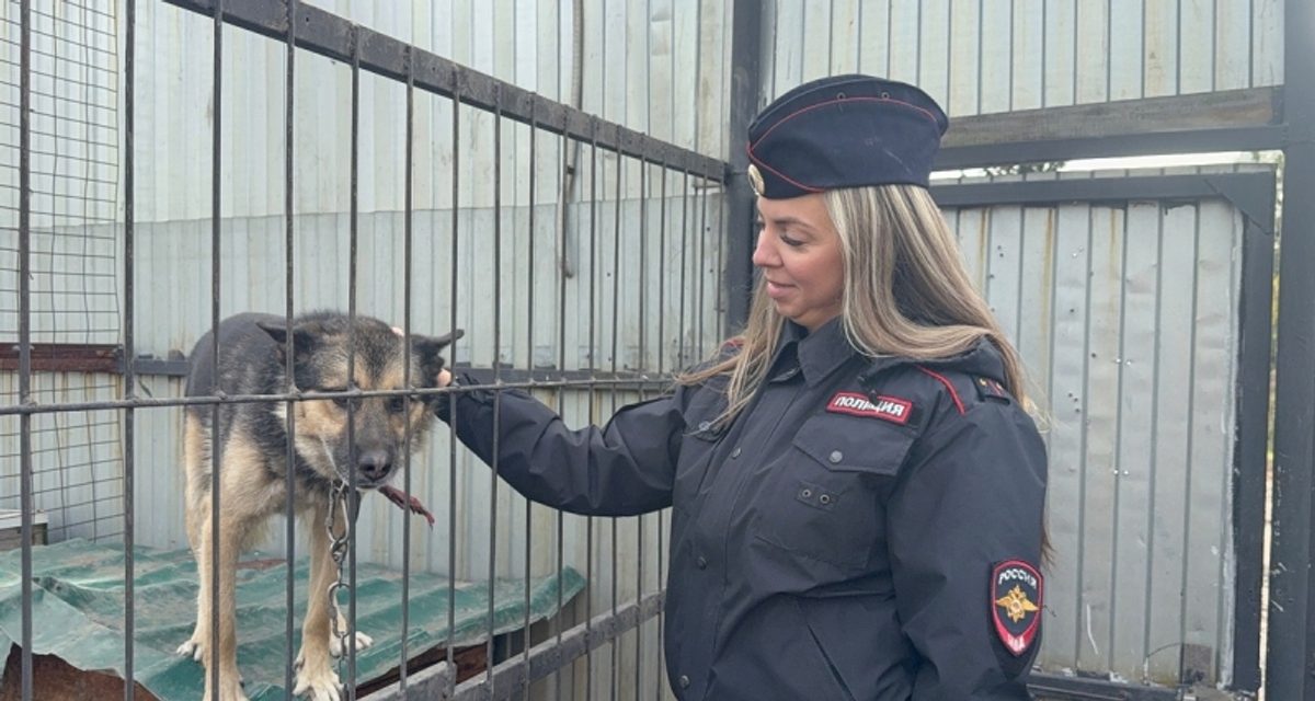 Школьники приехали в приют с кормом для животных в акции «Сытые хвостики»